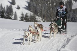 Kandersteg 2013